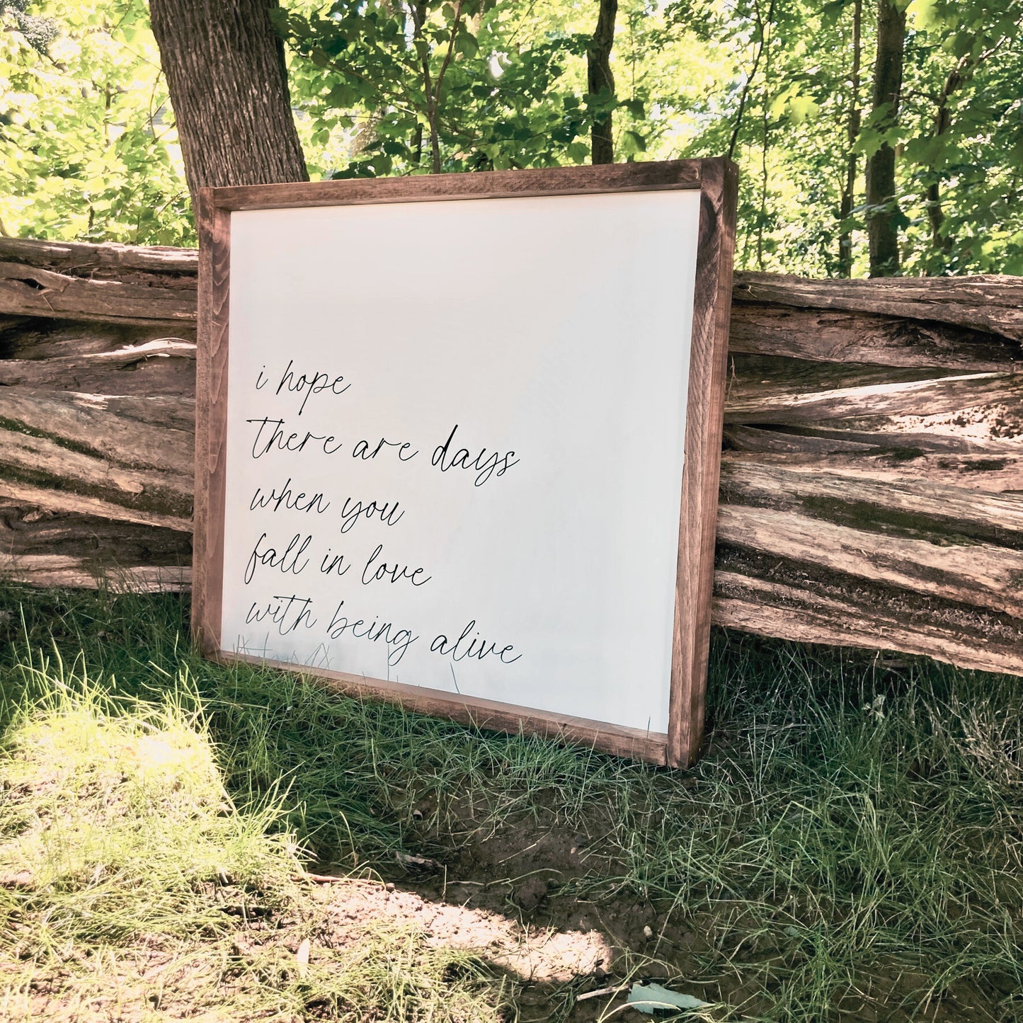 I Hope There Are Days When You Fall In Love With Being Alive Wood Sign