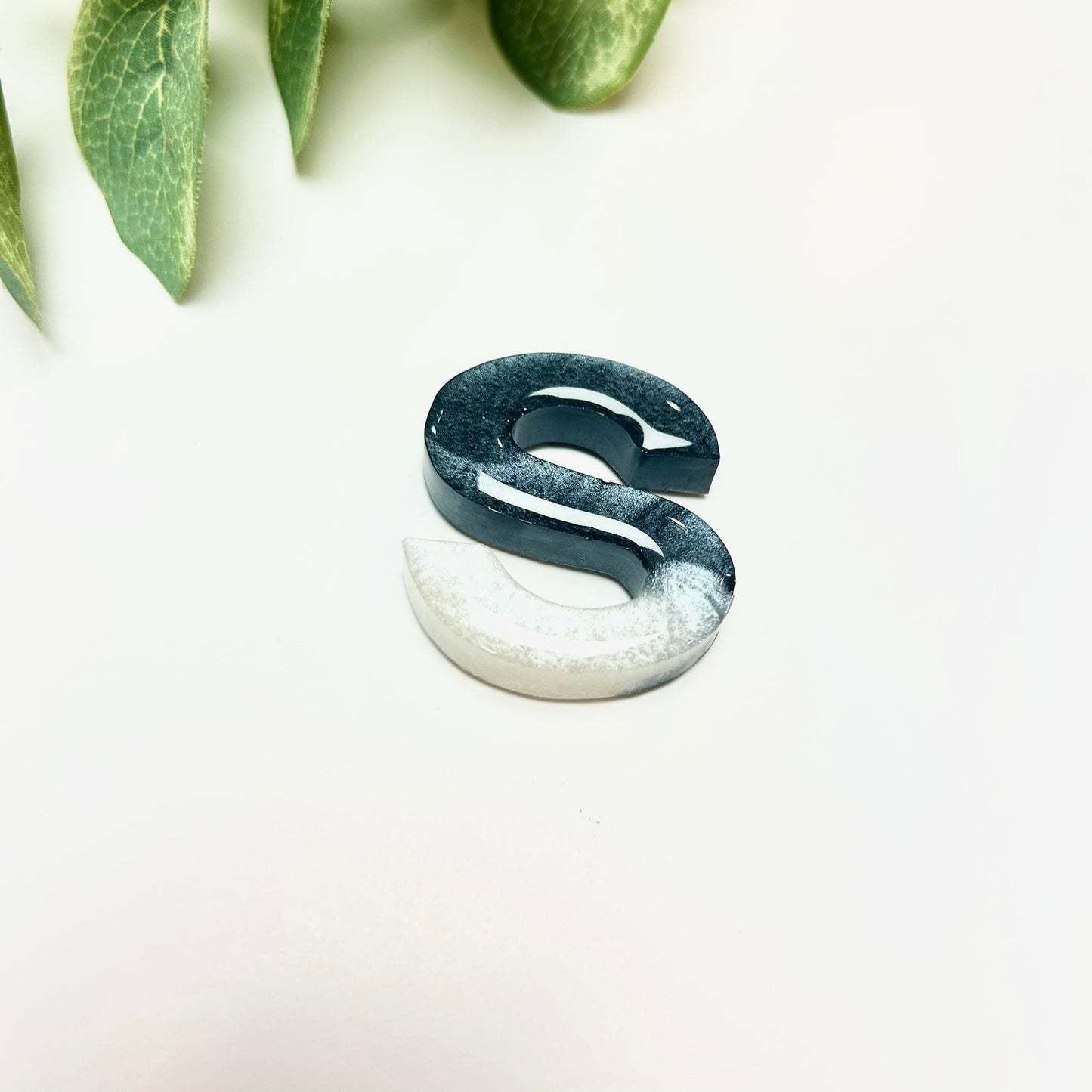 Resin Letter Magnet - S